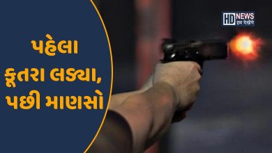 અંધાધૂંધ ફાયરિંગ-HDNEWS