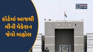 કોર્ટમાં રજા-HDNEWS