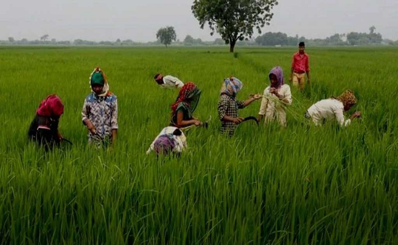 ખેડૂત-humdekhengenews