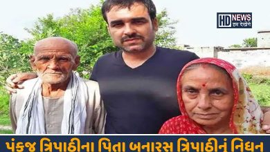 પંકજ ત્રિપાઠી-HDNEWS