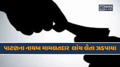 પાટણ લાંચ-HDNEWS