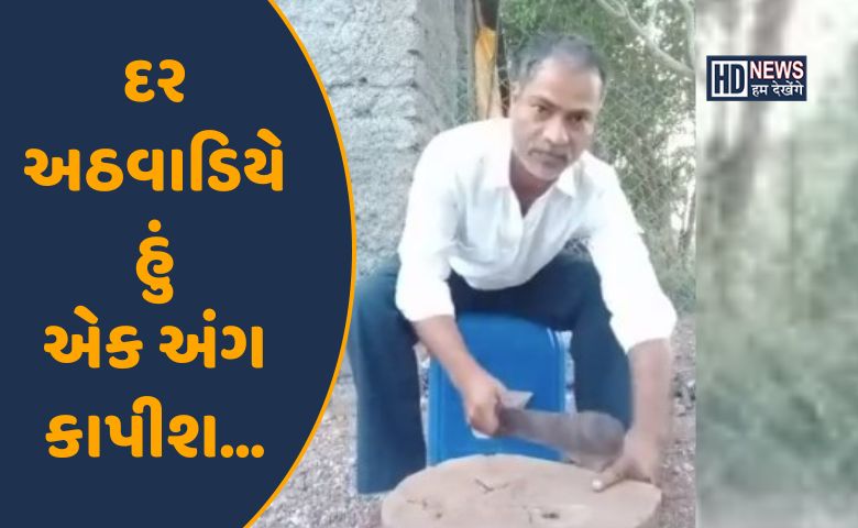 વાયરલ વિડિયો