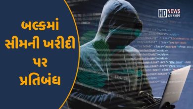 સાઈબર ક્રાઈમ-HDNEWS