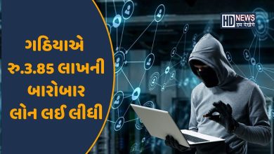 સાયબર ક્રાઈમ-HDNEWS