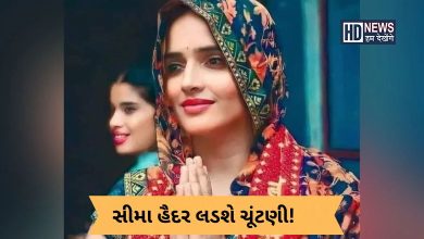 સીમા હૈદર-humdekhengenews