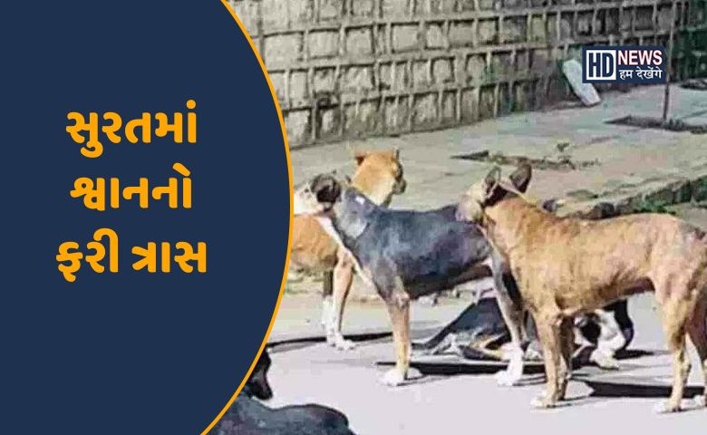 સુરતમાં રખડતા શ્વાનનો ત્રાસ-HDNEWS