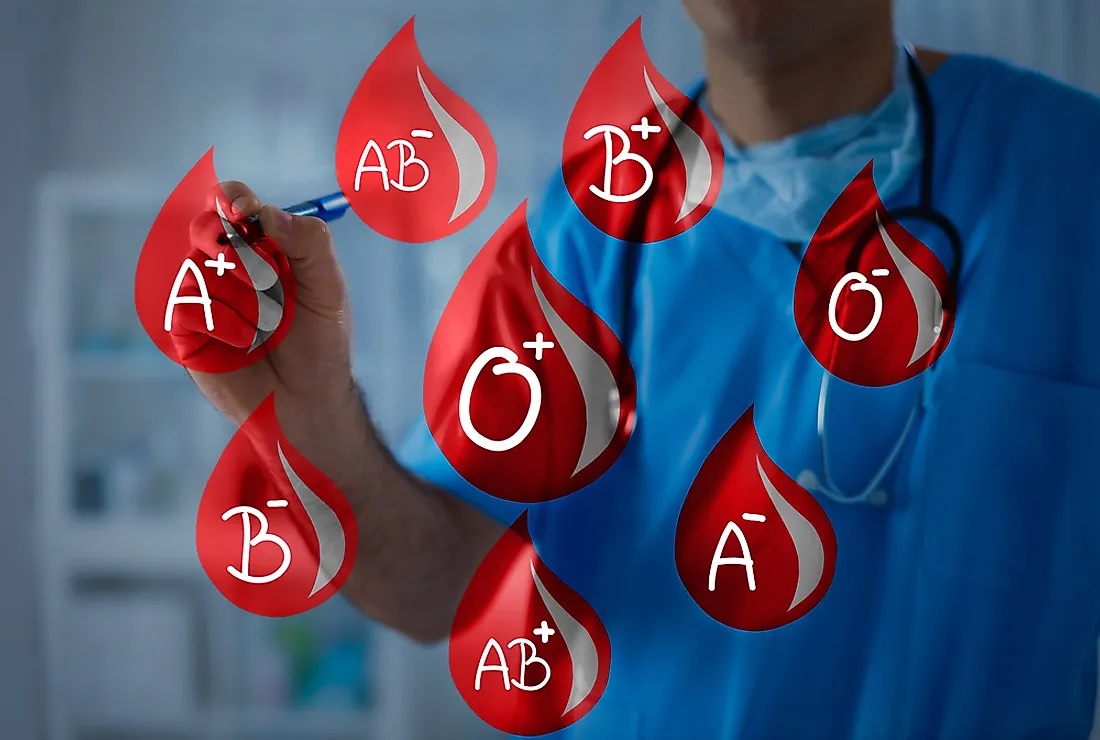 blood Group5