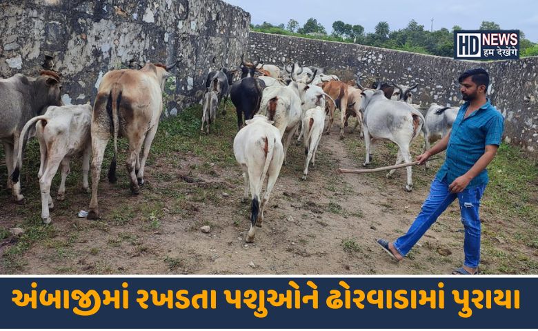 અંબાજી-HDNEWS