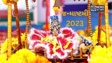 આવક સ્થિર થઇ ગઇ હોય તો જન્માષ્ટમી પર કરો આ ખાસ ઉપાય, લક્ષ્મીજી થશે પ્રસન્ન hum dekhenge news