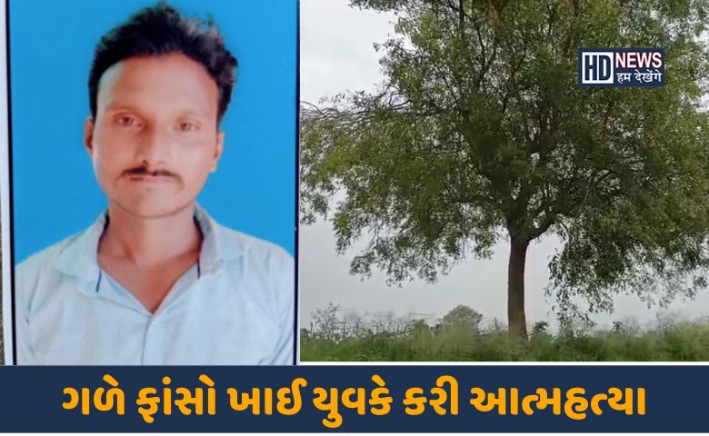 ડીસા-આત્મહત્યા-HDNEWS