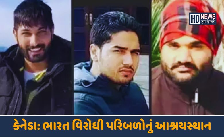 ધ કેનેડા ફાઇલ્સ-HDNEWS