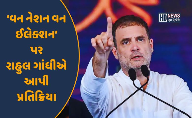 રાહુલ ગાંધી-HDNEWS