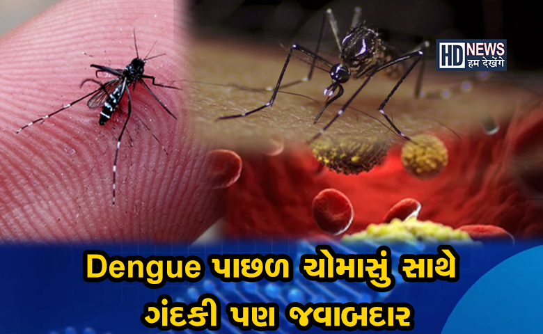 DENGUE-@HUMDEKEHNEGNEWS