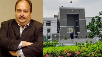 Mehul Choksi, Gujarat High Court