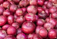 Onion Prices