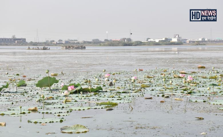 morbi-humdekhengenews