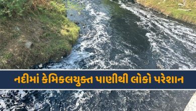 ખારીકટ નદી-HDNEWS