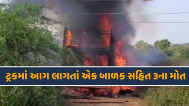 ટ્રકમાં આગ-HDNEWS