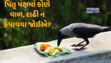 પિતૃ પક્ષમાં દાઢી, મૂંછ અને વાળ કપાવવા જોઇએ કે નહીં? hum dekhenge news