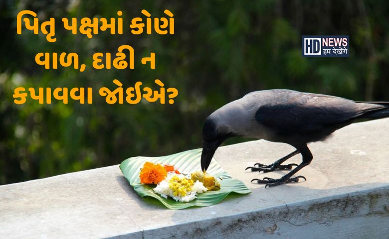 પિતૃ પક્ષમાં દાઢી, મૂંછ અને વાળ કપાવવા જોઇએ કે નહીં? hum dekhenge news