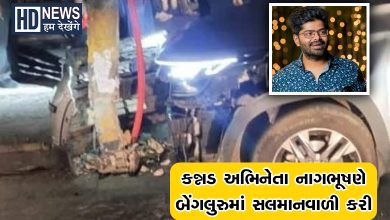 બેંગલુરુ સેલિબ્રિટી અકસ્માત-HDNews