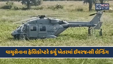 ભારતીય વાયુસેના-HDNEWS