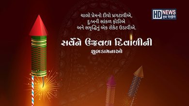 લક્ષ્મીજીની પૂજામાં કમળના ફૂલનું શું છે મહત્ત્વ? જાણો કેવી રીતે કરશો પૂજન hum dekhenge news