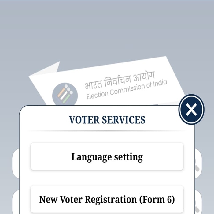 Voter Service