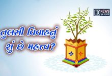 તુલસી વિવાહનું પૂજન ક્યારે અને કેવી રીતે કરશો, શા માટે કરાય છે? hum dekhenge news