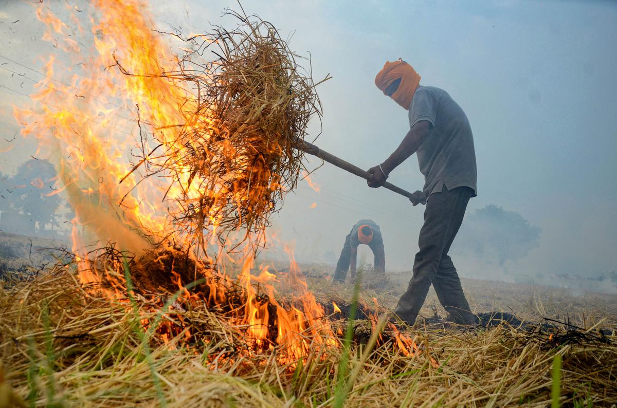 punjab