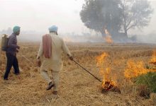 stubble burning