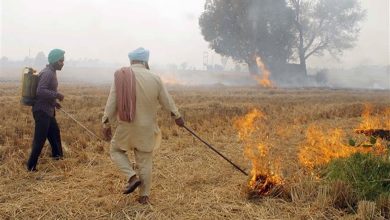 stubble burning