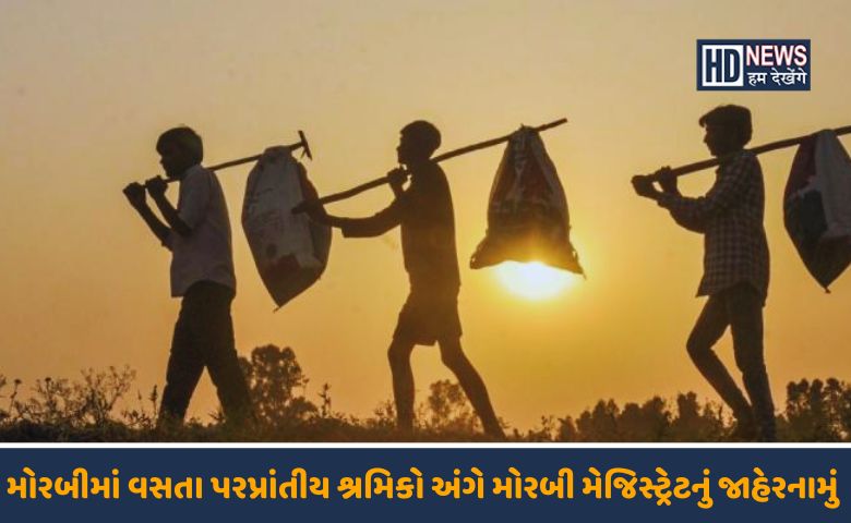 મોરબીમાં વસતા પરપ્રાંતીય શ્રમિકો-humdekhengenews