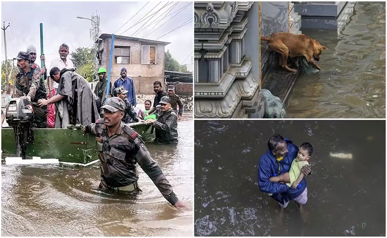 Cyclone Michaung