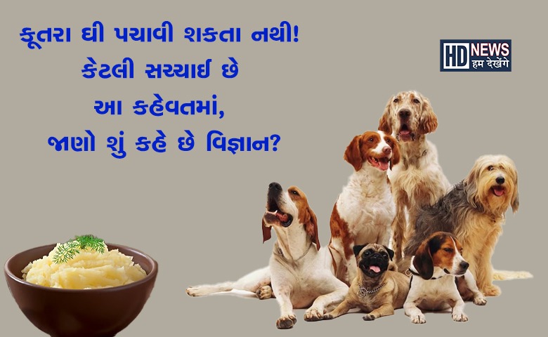 કૂતરા-humdekhengenews