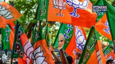 Lok Sabha election BJP-HDNEWS