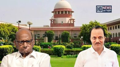 ncp vs ncp sc-HDNEWS