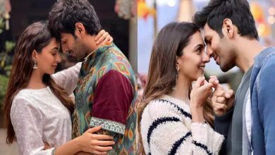 Kartik Aryan and Kiara Advani's film