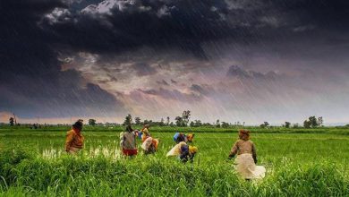 farmers monsoon