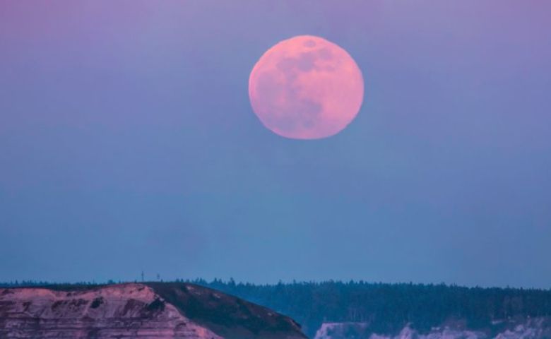 Pink Moon