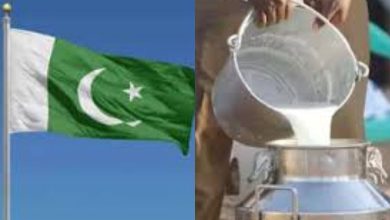 Pakistan Milk Price-HDNEWS