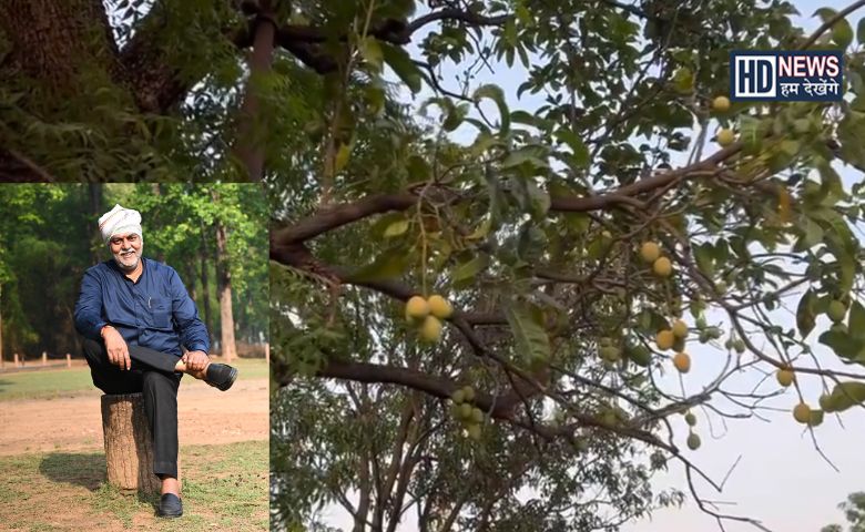 mango in neem tree-HDNEWS