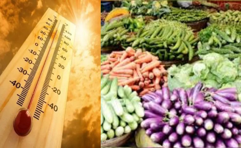 vegetables rate-HDNEWS