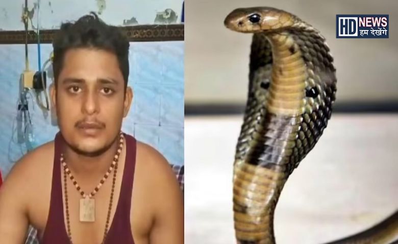 snake attack-HDNEWS