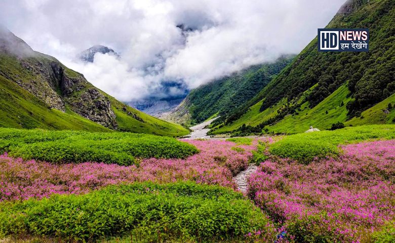 Valley of Flowers