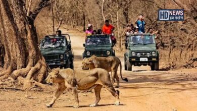 Gir National Park