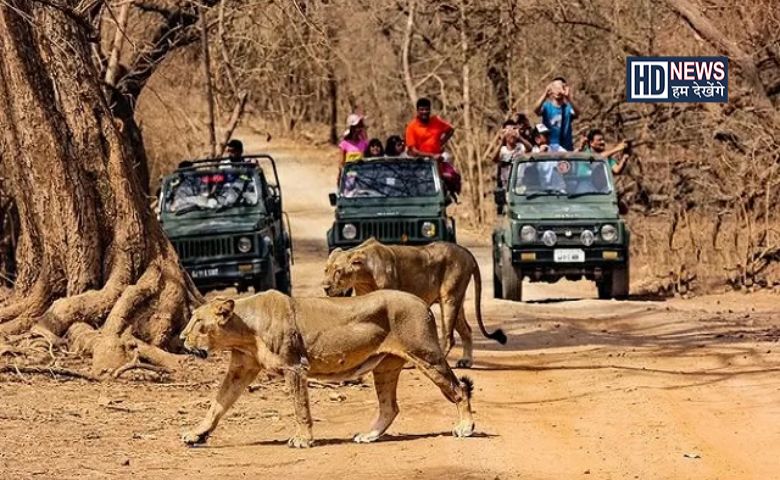 Gir National Park