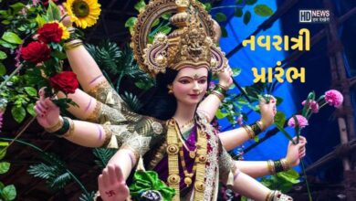 નવરાત્રીમાં મા દુર્ગા કુકડા પર સવાર થઈને કરશે પ્રસ્થાન, જાણો આ સવારીના સંકેત hum dekhenge news