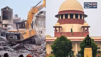 Supreme Court/Bulldozer