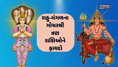 દિવાળી પર રાહુ-મંગળનો નવપંચમ રાજ યોગ, ત્રણ રાશિઓના શુભ દિવસો શરૂ hum dekhenge news